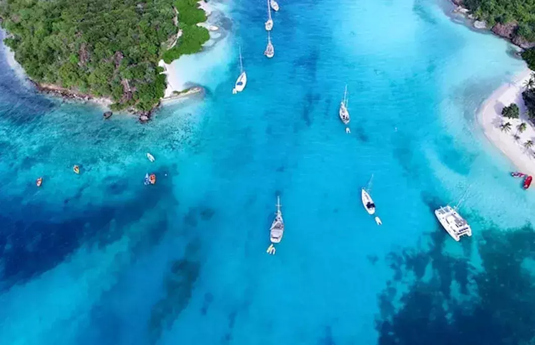 The waters surrounding Saint Vincent and the Grenadines are teeming with marine life