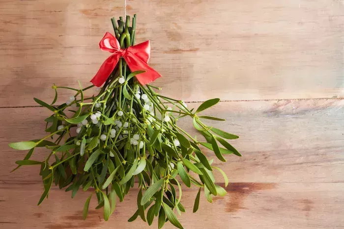 New Year&amp;amp;#039;s traditions in France