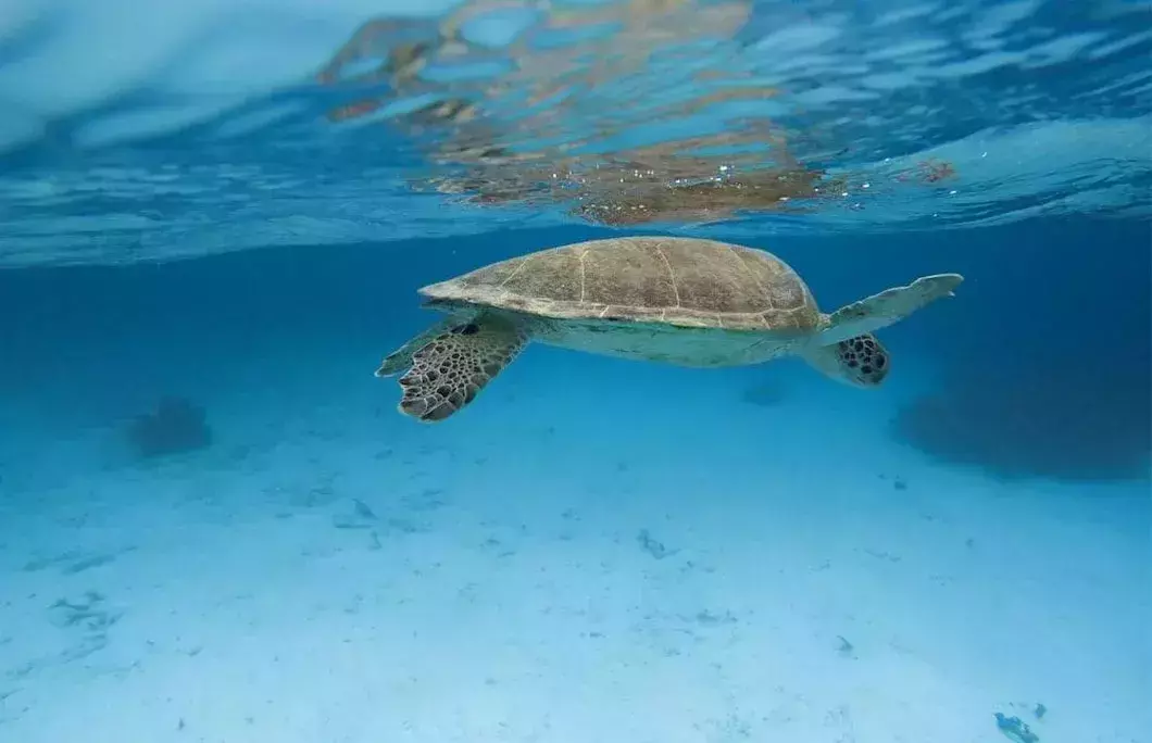 Bonaire