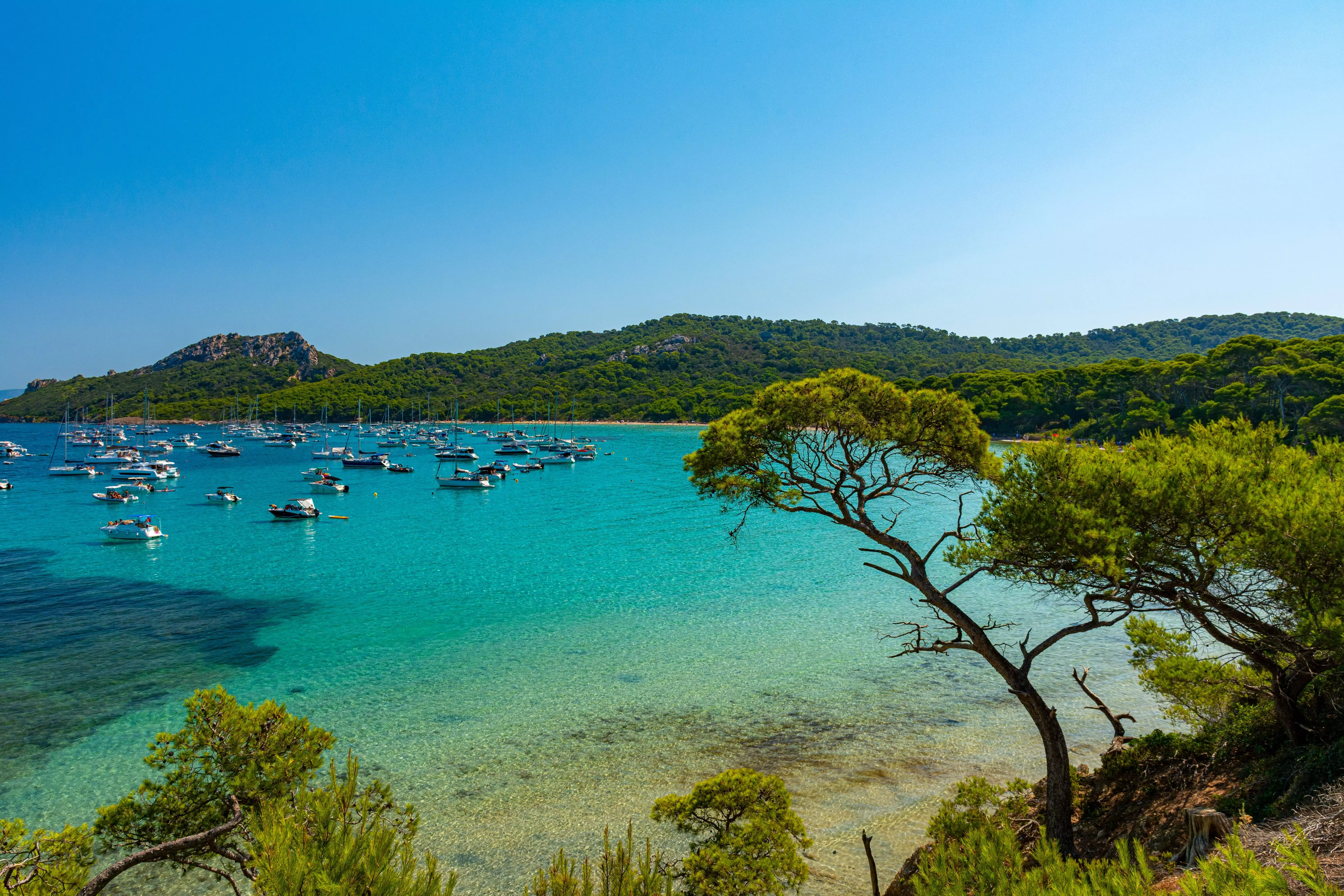 Porquerolles is one of France's most gorgeous islands.