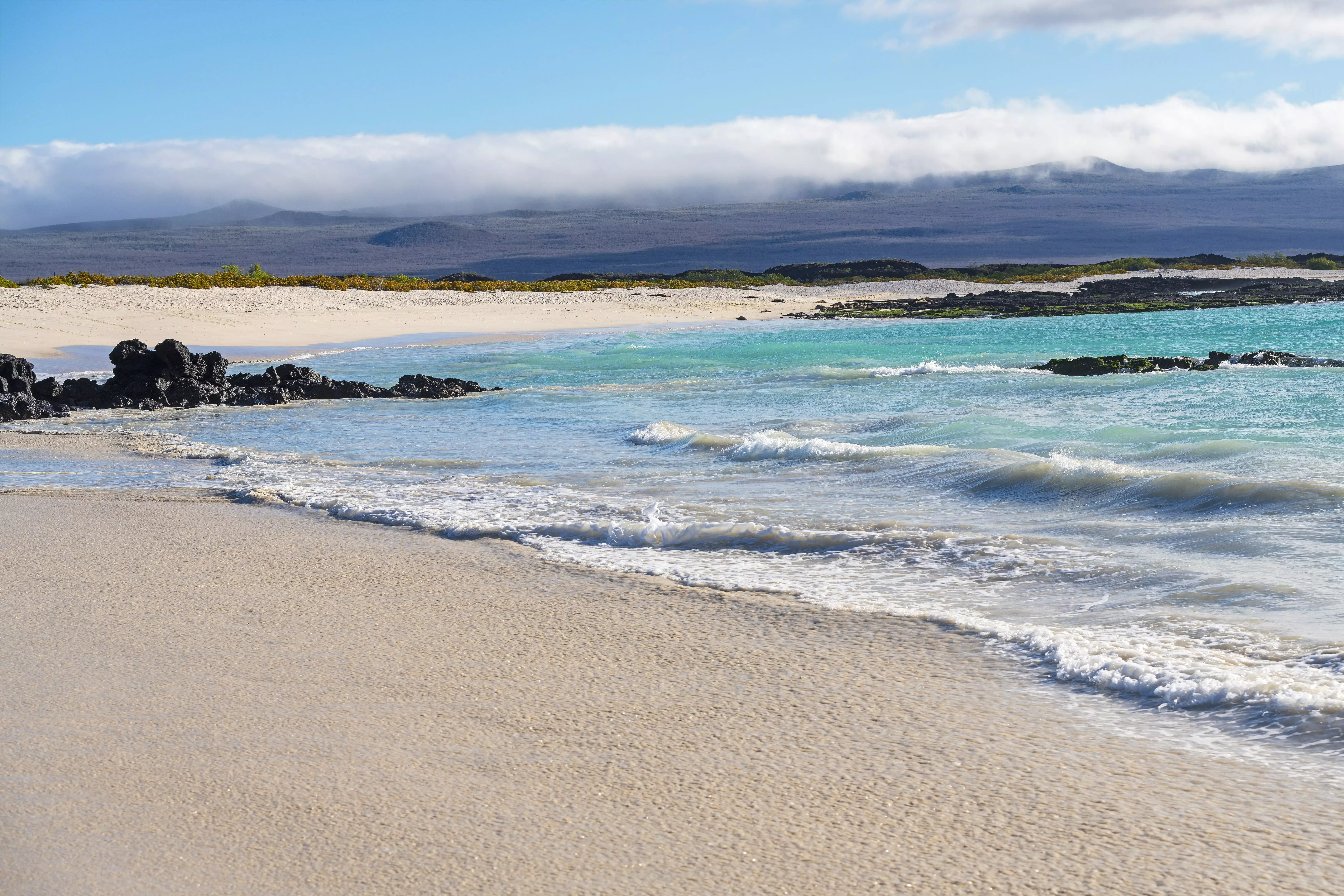San Cristobal Galapagos - one of the best snorkelling destinations in the world