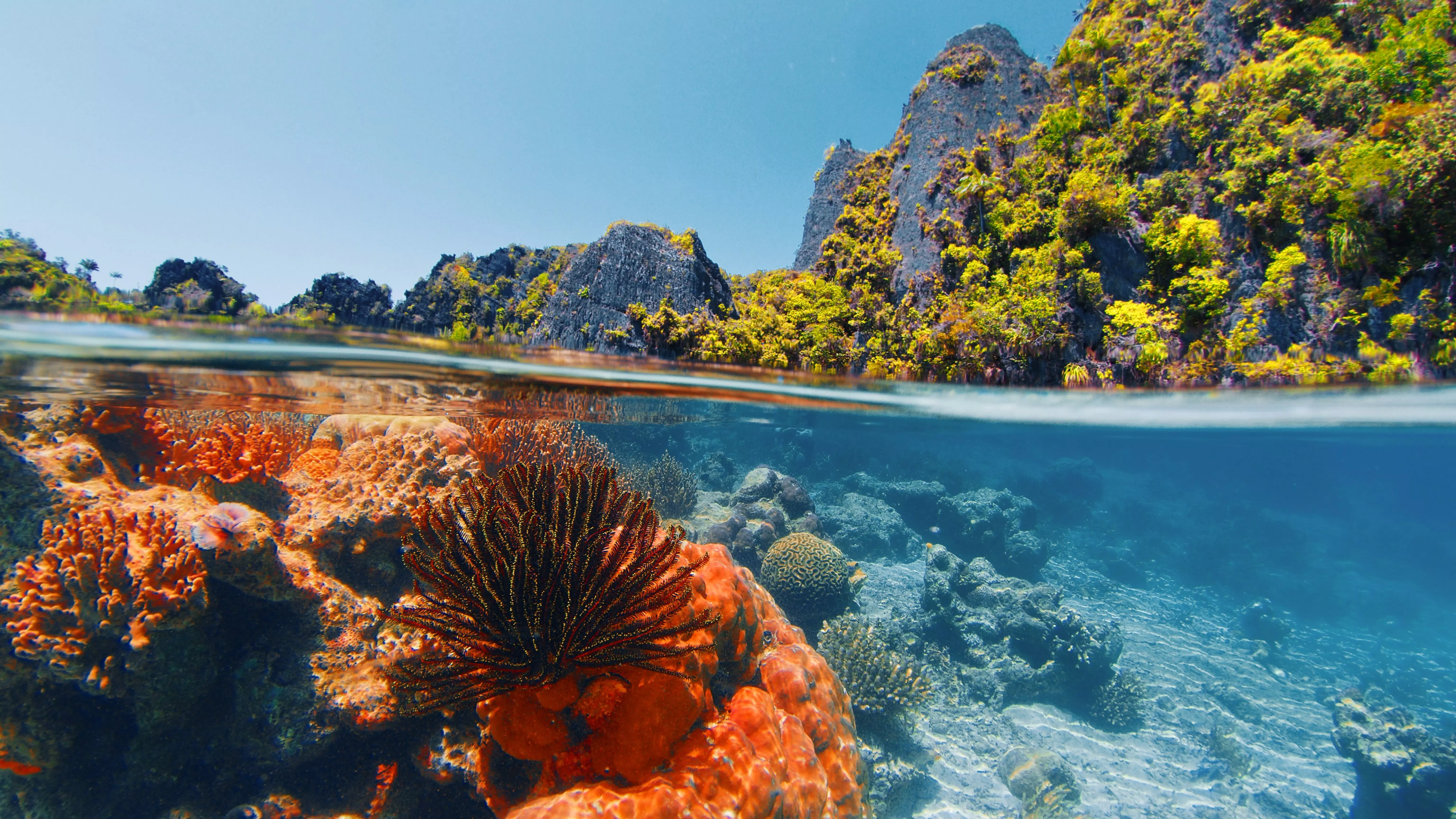 Raja Ampat is a quieter version of Bali for those travelling to Indonesia