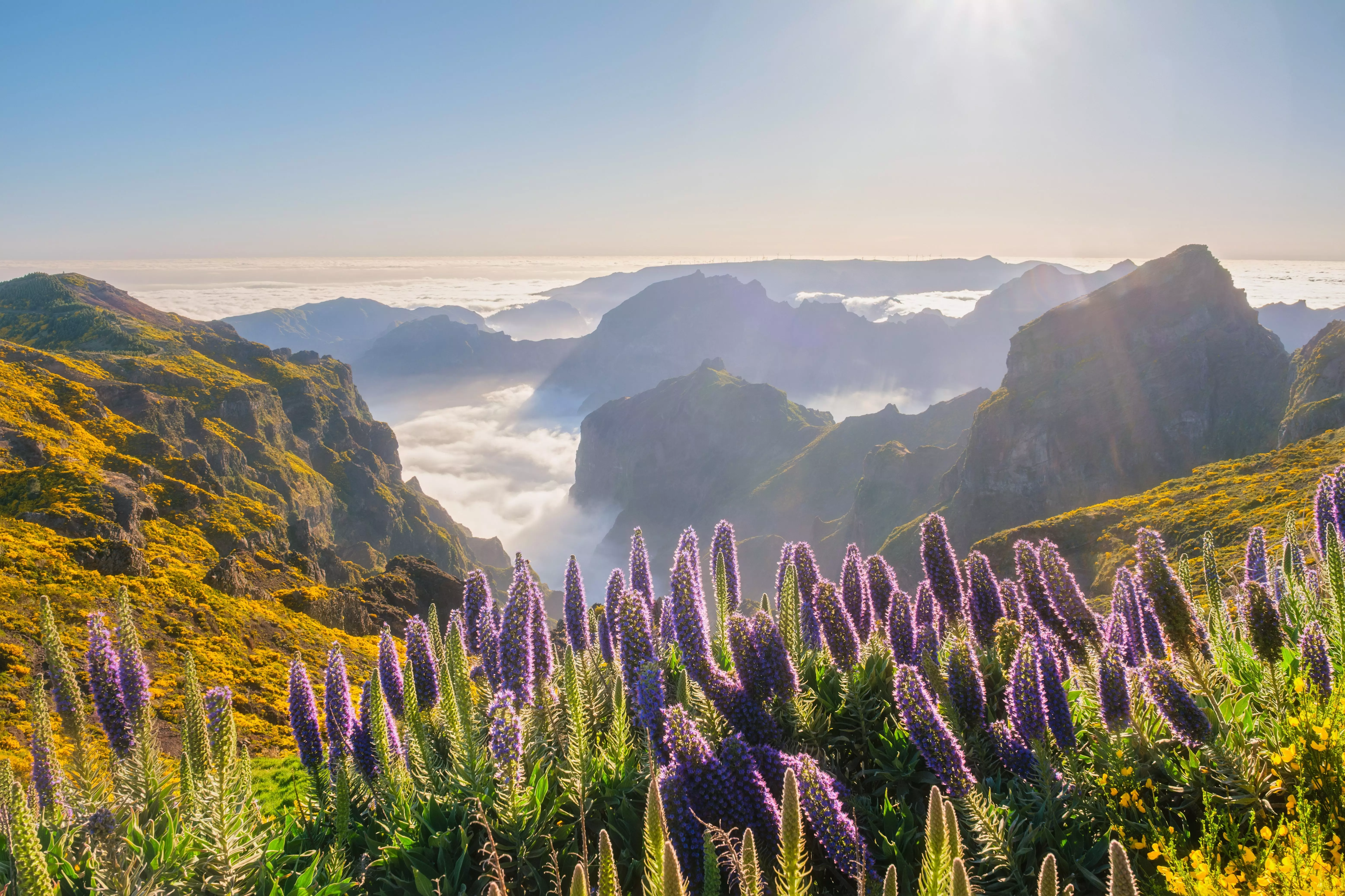 Madeira has it all - volcanoes, cliffs, beaches and forest.