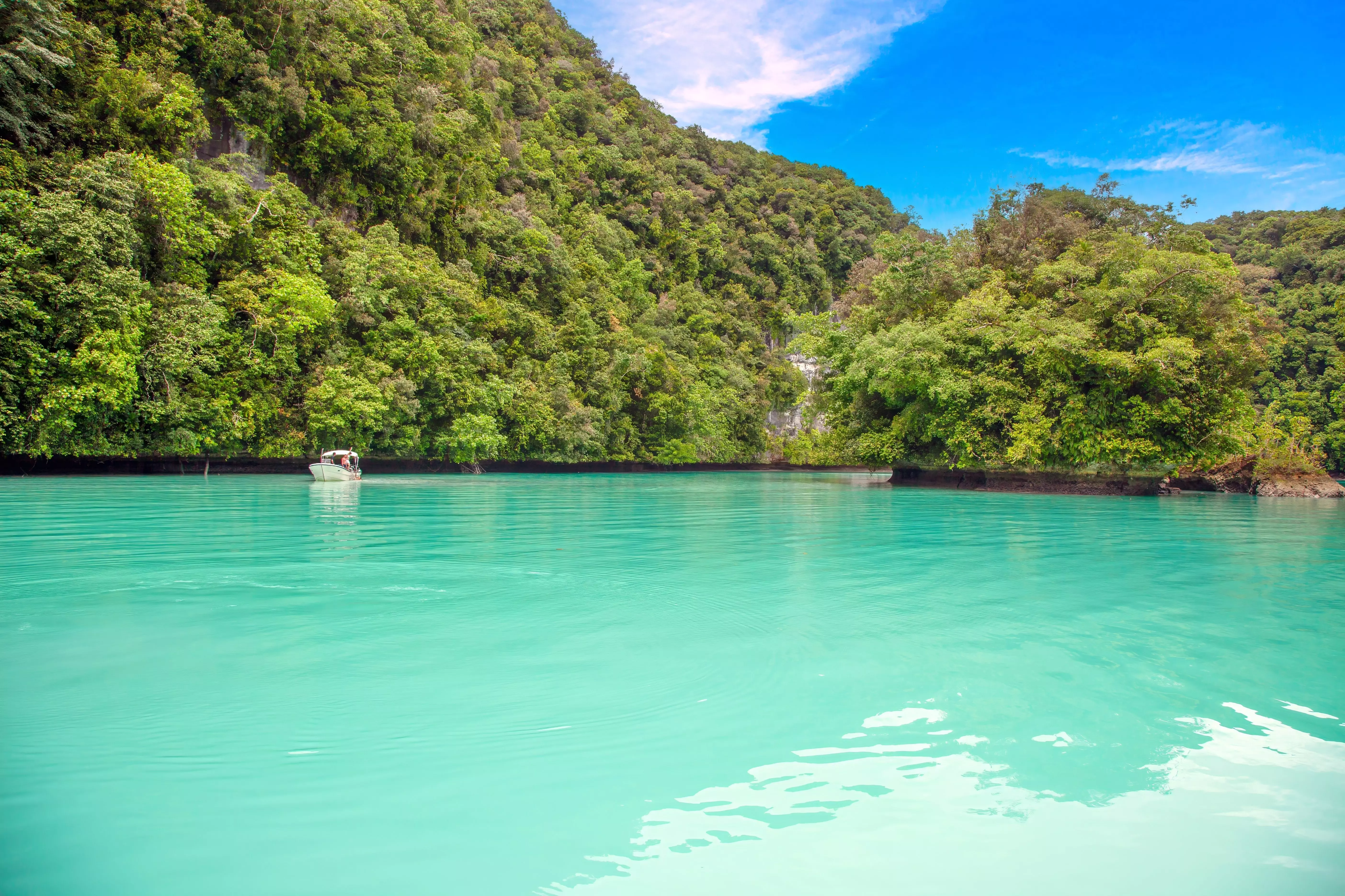 Palau is a leader in eco-tourism in the South Pacific.