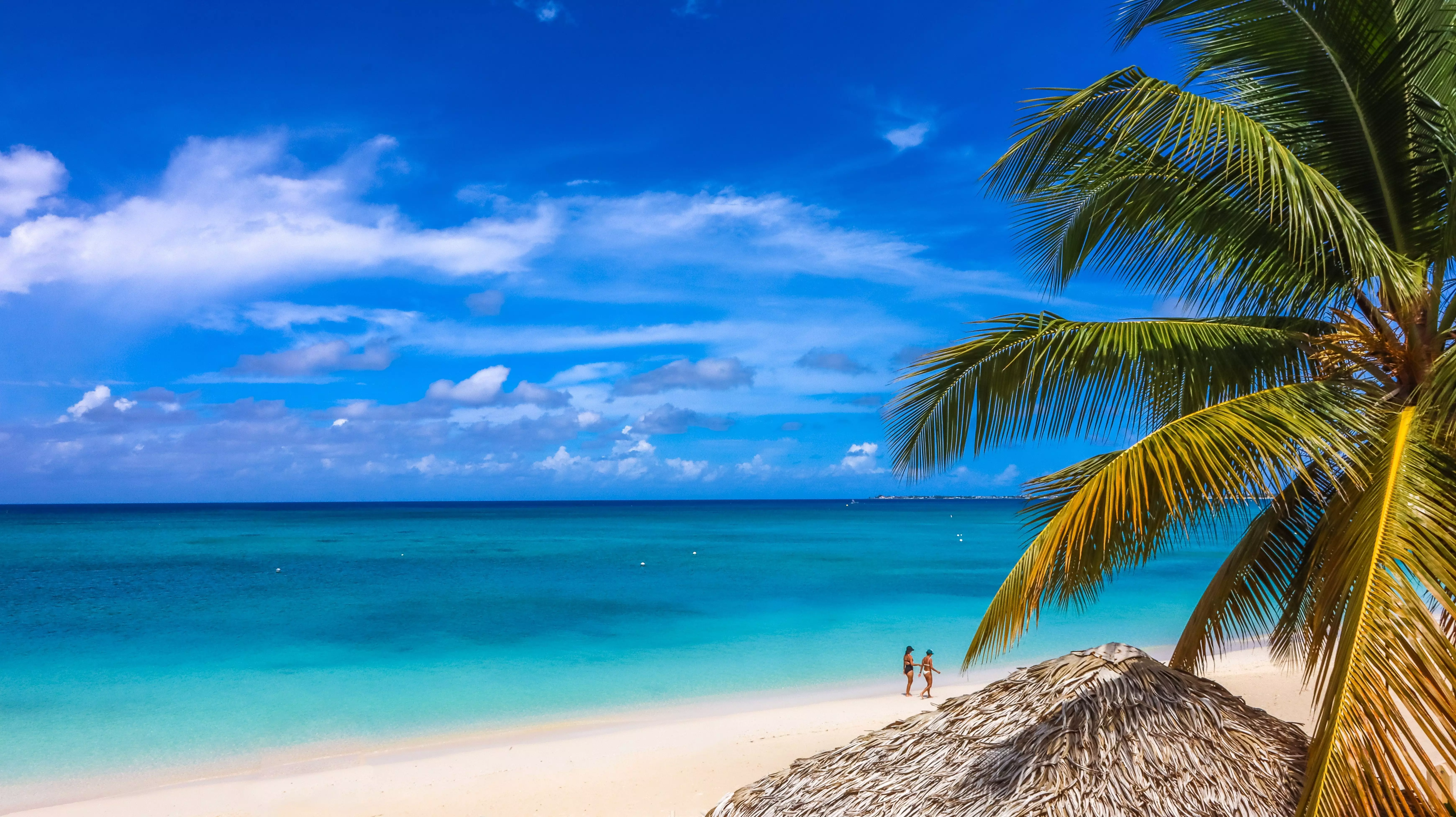 Enjoy stunning Caribbean scenery and high-end restaurants on the largest of the Cayman Islands.