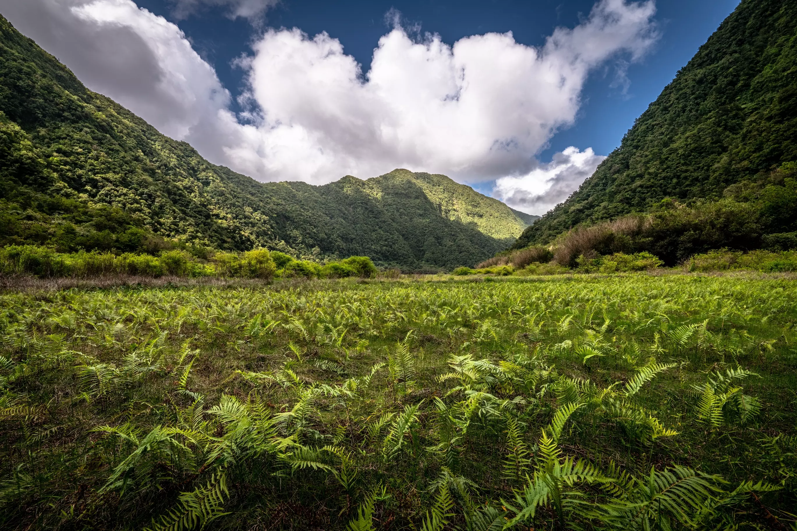 R&eacute;union is France's - and the Atlantic Ocean's - answer to Hawaii.
