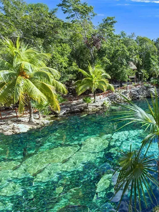 Cenote Casa Tortuga