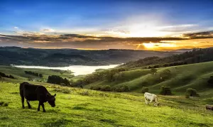 Here Are The Best Boutique Hotels in Wales