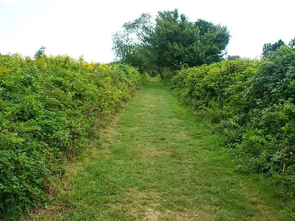 best walks in RI