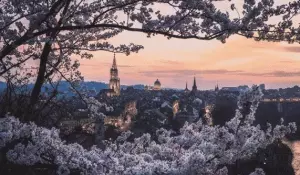 The 7 Most Instagrammable Spots In Bern
