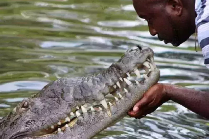Black River in Jamaica
