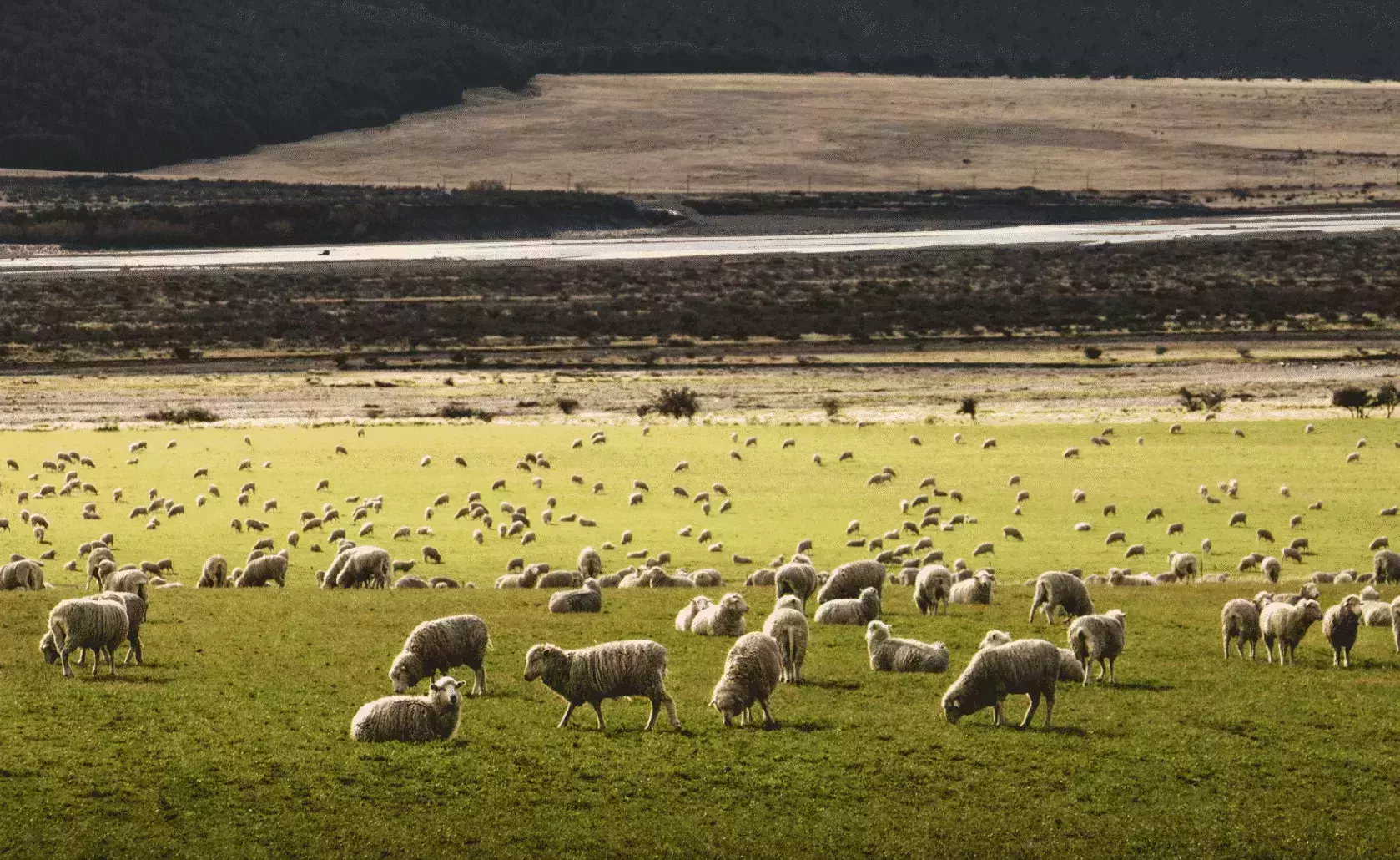 Beautiful New Zealand