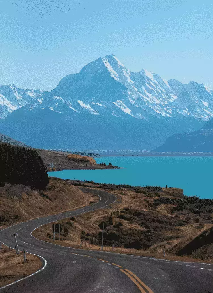 Scenic Road in New Zealand