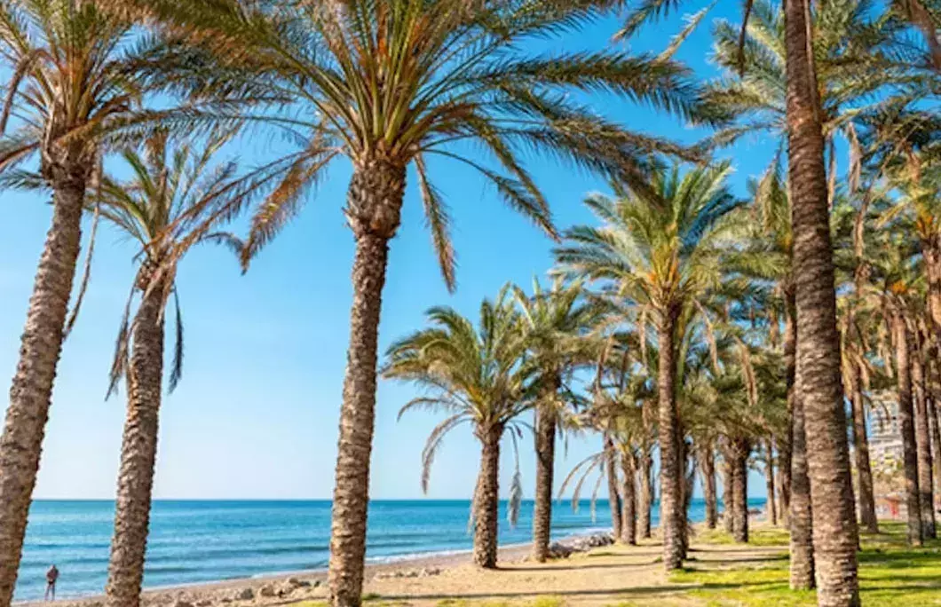 When to visit in Benalmadena or Torremolinos