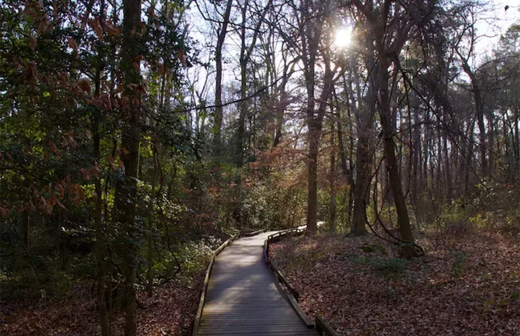 Congaree National Park