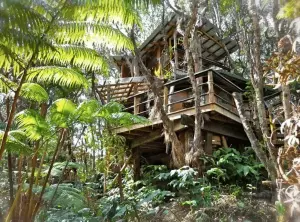 The 7 Best Places To Go Glamping In Hawaii