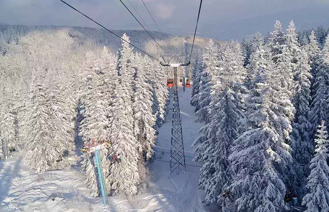 Hike Vitosha mountain