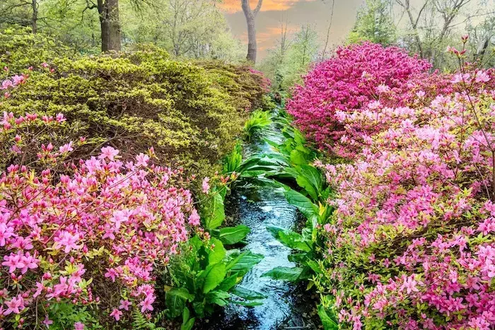 best walks in Richmond