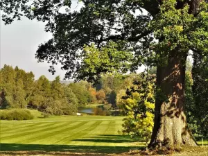 7 Best Walks in York