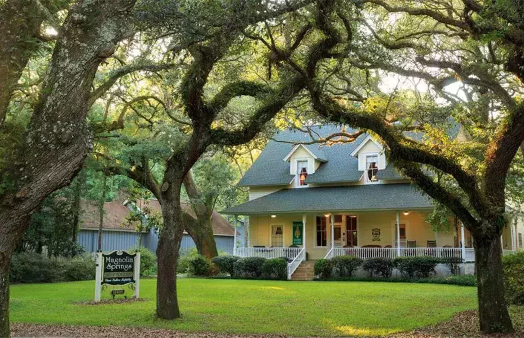 Magnolia Springs