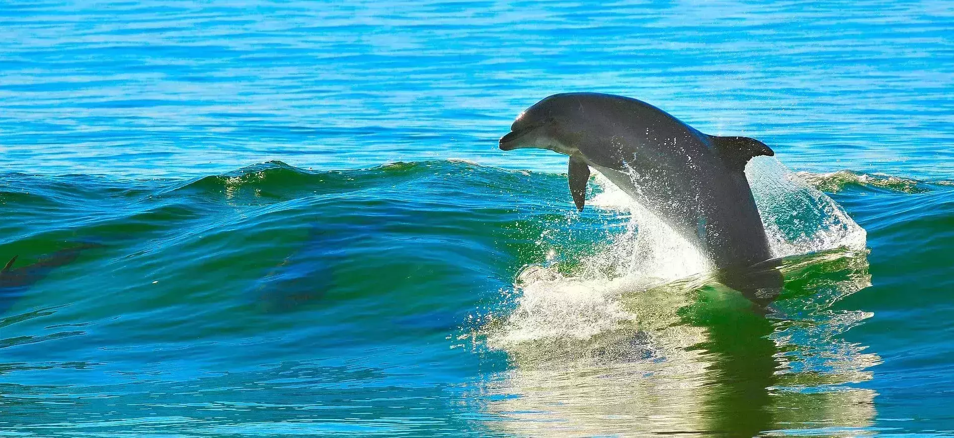 Bocas del Toro Instagram Spots