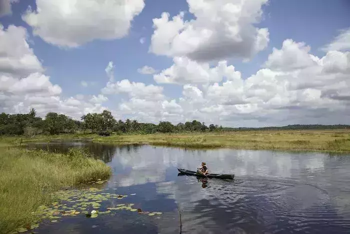 interesting facts about guyana