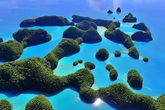 interesting facts about Micronesia