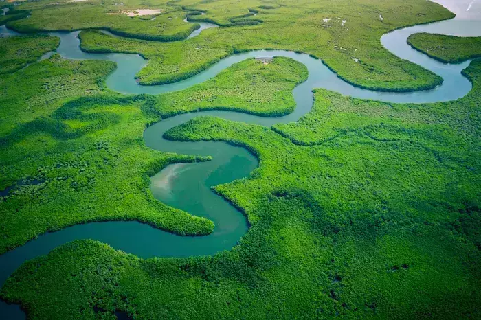 interesting facts about The Gambia