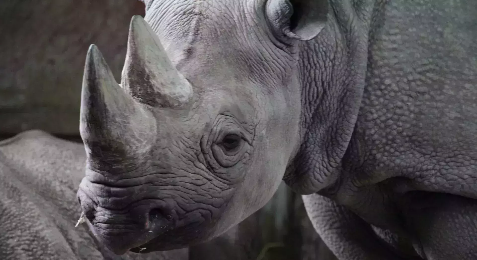 Endangered Travel Destinations To Visit Before They Disappear