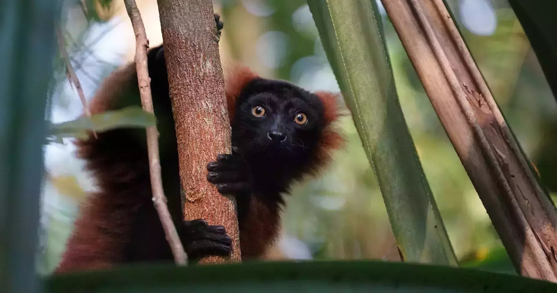 Endangered Travel Destinations To Visit Before They Disappear