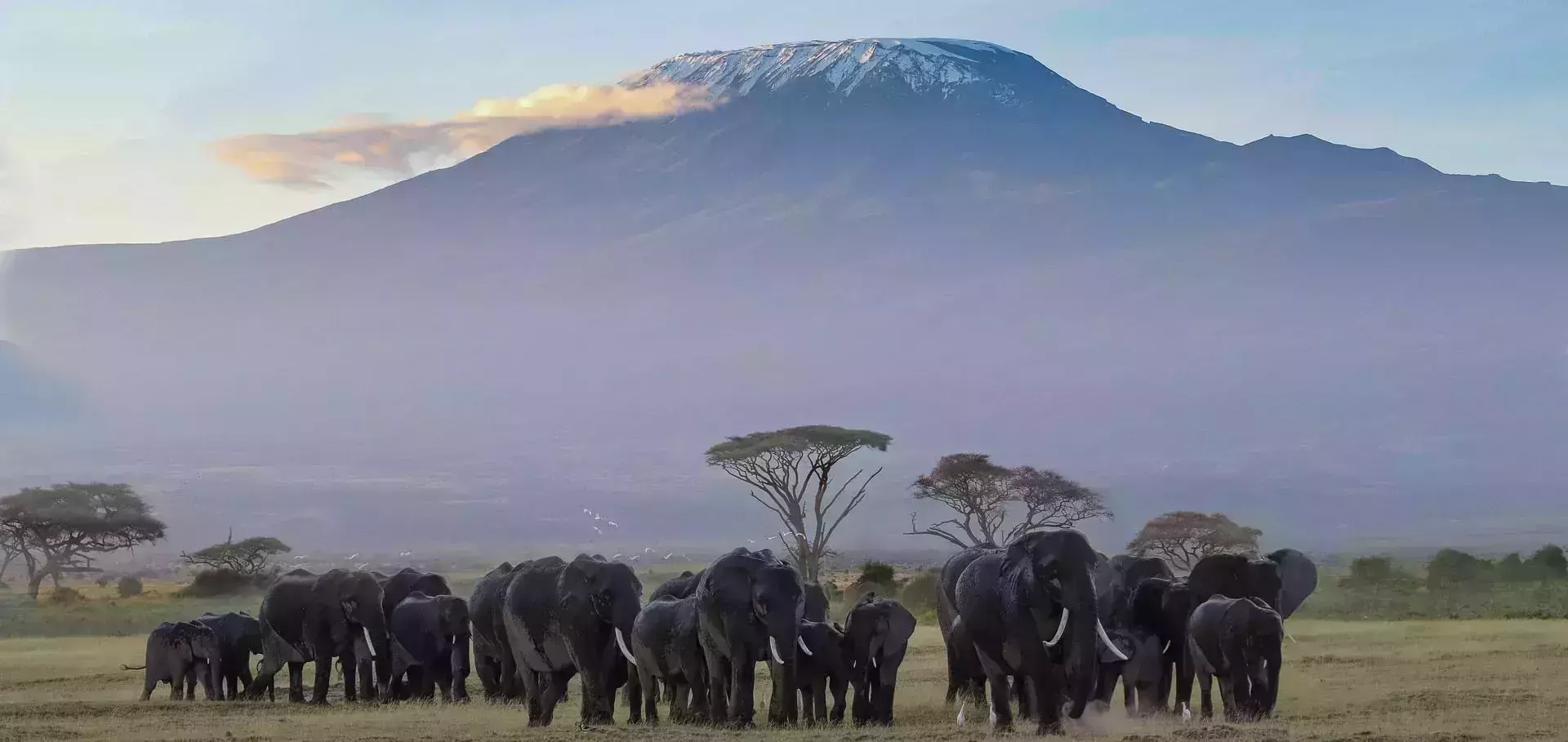 When to Visit Mount Kilimanjaro to See Snow