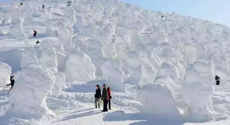 Japan Snow Monsters