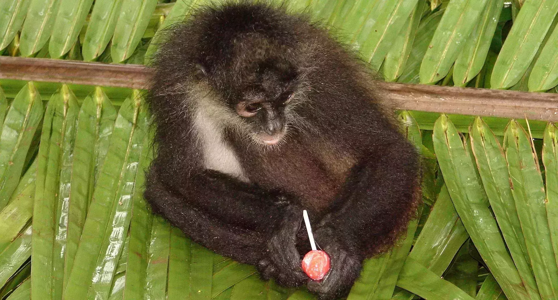 Honduras Travel 2020