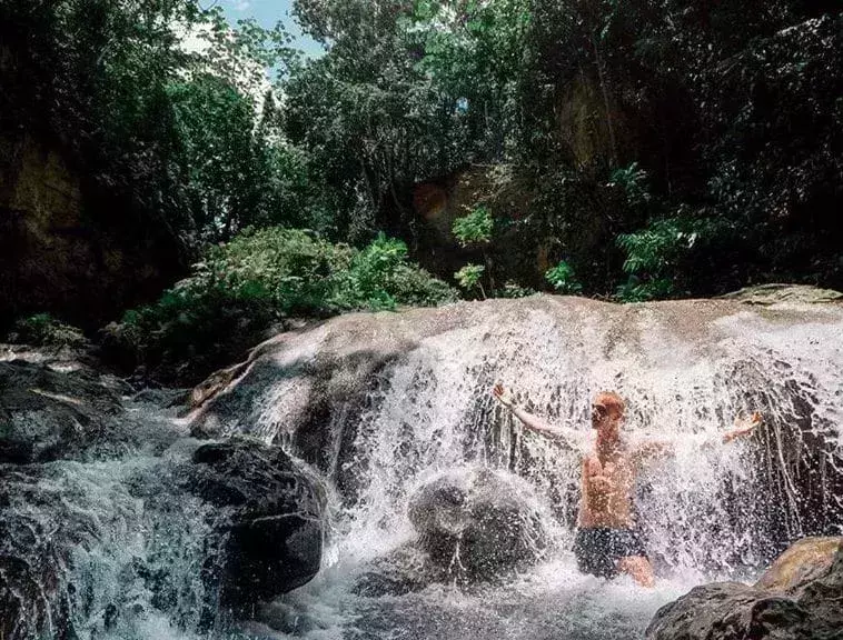 essential caribbean
