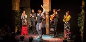 The 7 Best Flamenco Tablaos In Granada