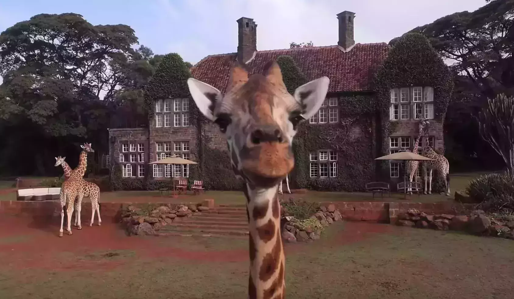 Giraffe Manor