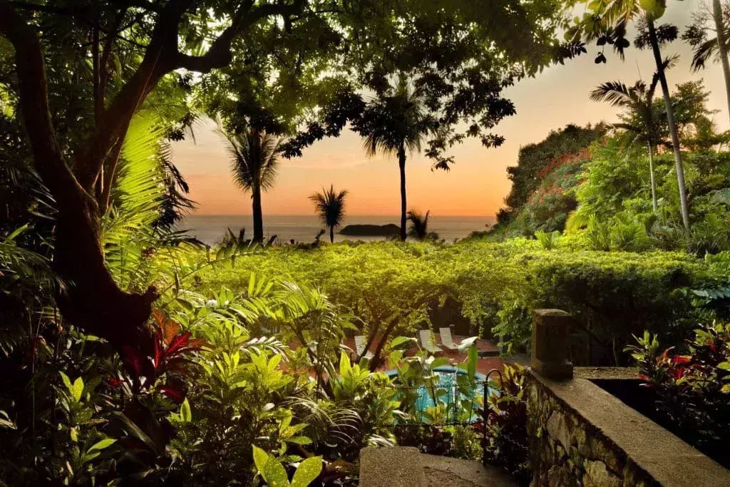 Jungle terrace