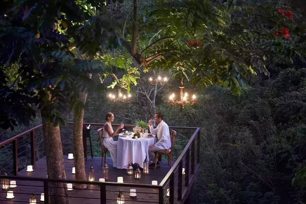Forest Deck Treetop Restaurant