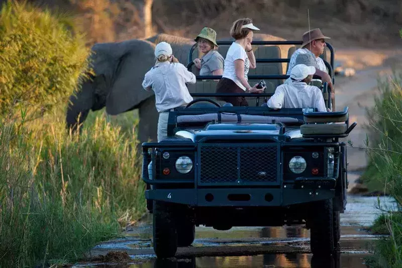 Londolozi Lodge