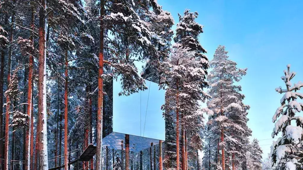 Tree House in Sweden