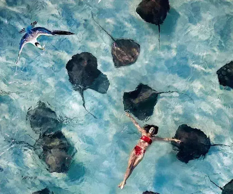 48 hours in grand cayman