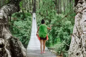 The 7 Most Instagrammable Spots In Dalat