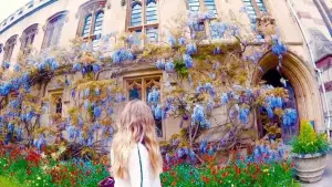 The 7 Most Instagrammable Spots In Oxford