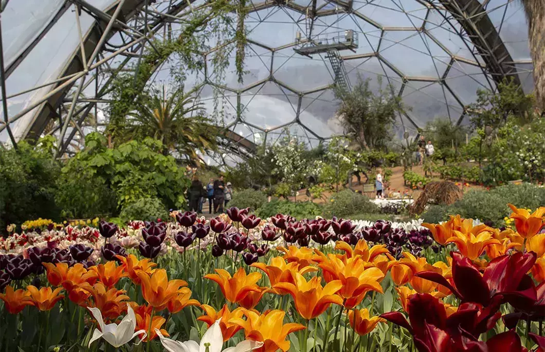 Eden Project