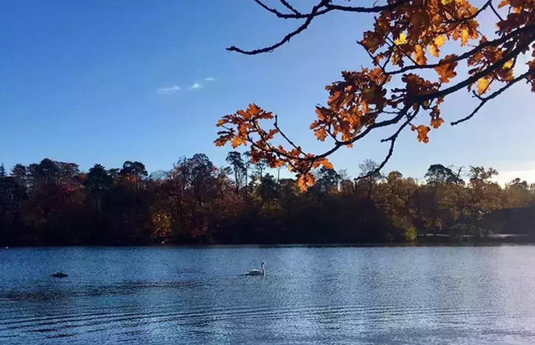 3. Black Park Lake