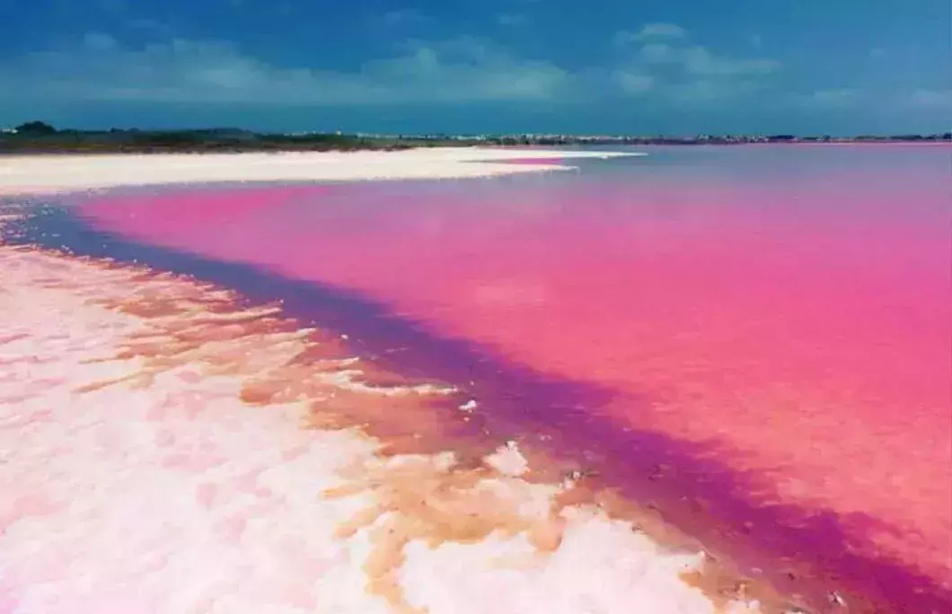 3. Laguna Rosa – Torrevieja