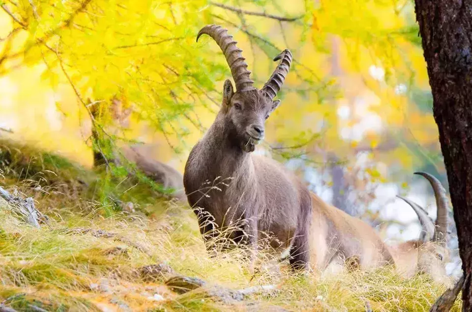 italy national park
