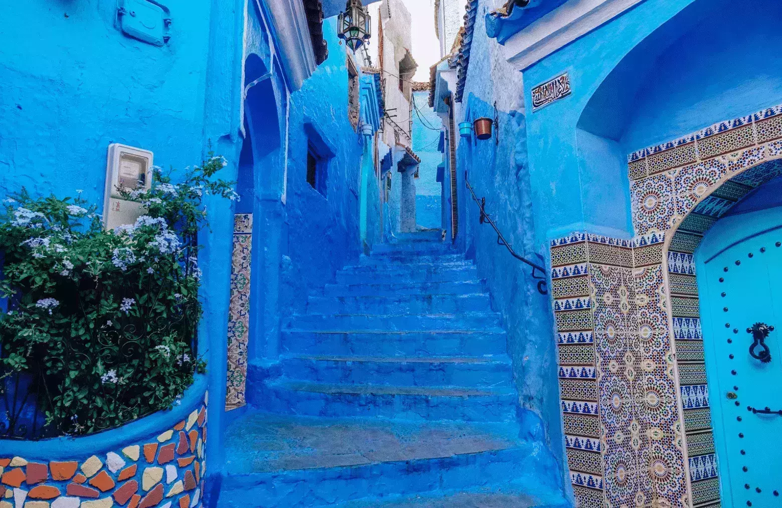 Instagram Rabat
