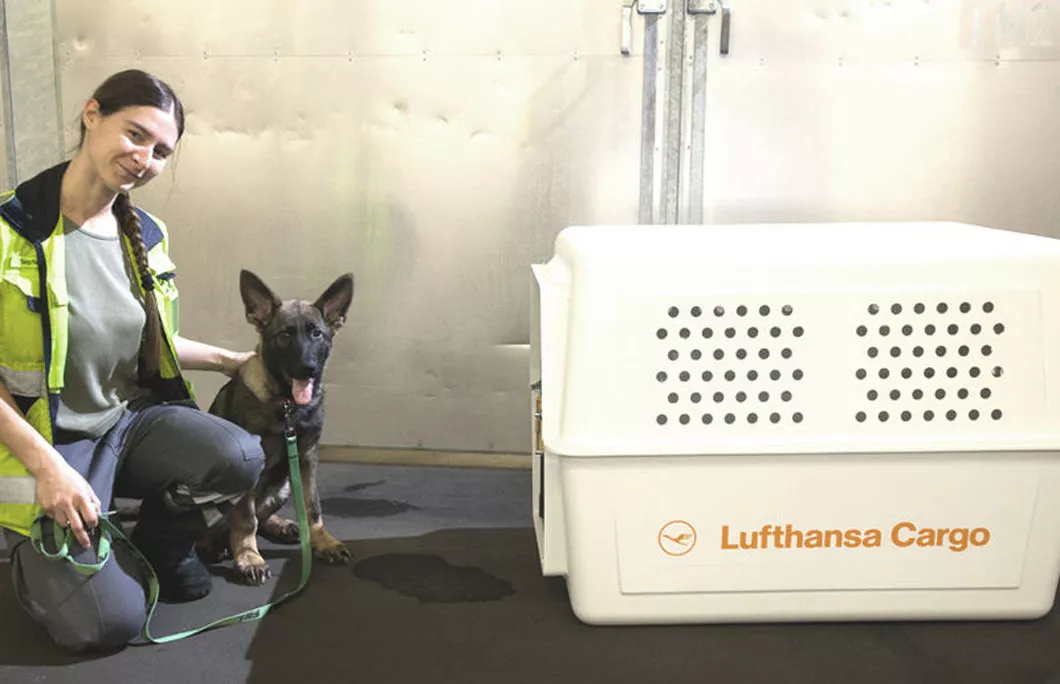 Lufthansa pet transport best sale