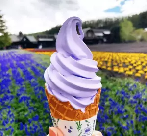 The 7 Most Instagrammable Spots In Sapporo